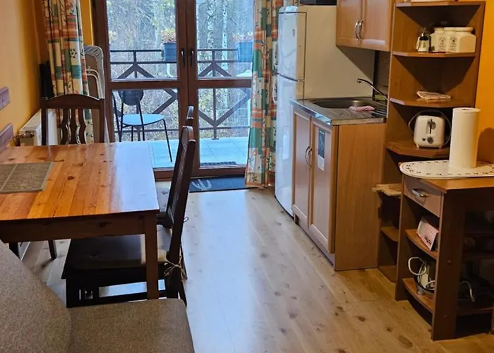 Guest house U Ireny 3*