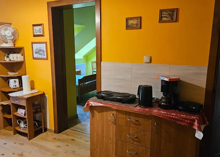 U Ireny Guest house 3*