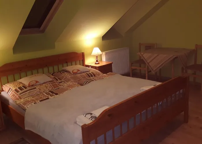 Guest house U Ireny 3*